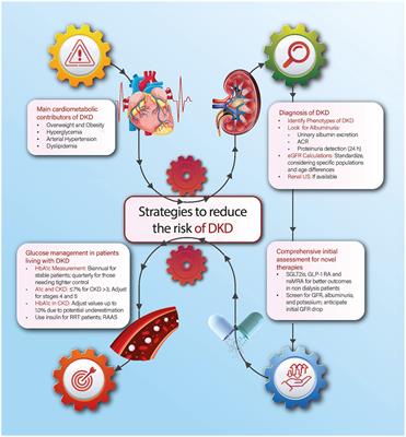 Strategies to address diabetic kidney disease burden in Mexico: a narrative review by the Mexican College of Nephrologists